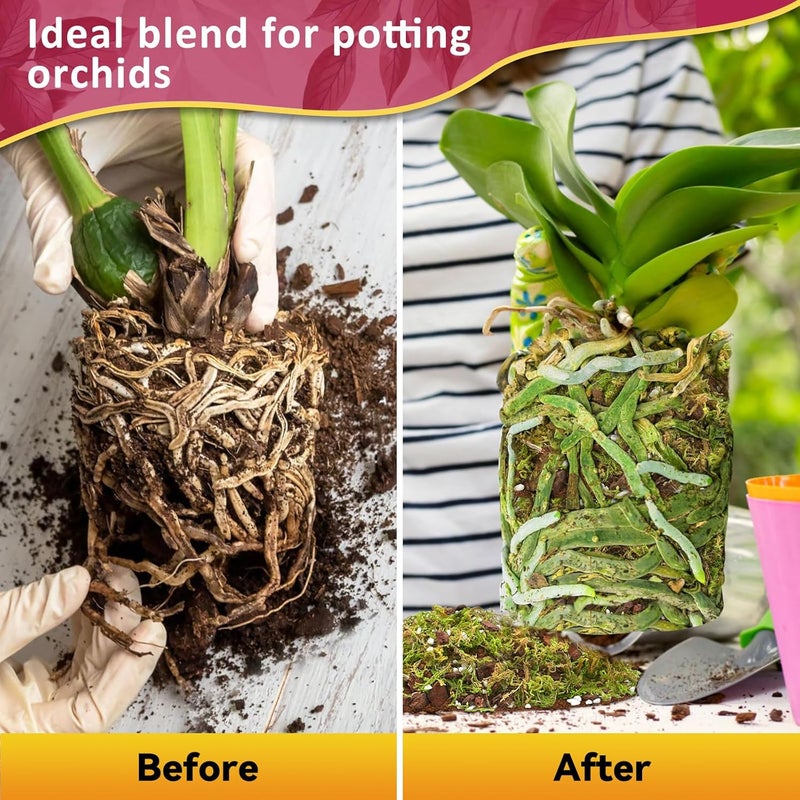 Riare 1QT Orchid Potting Mix for Repotting- Orchid Repotting Kit Include Moss, Pine Bark, Perlite, Coco Peat- Premium Orchid Soil Medium for Indoor Potted Plants Root Ventilation & Expanding - Image 5